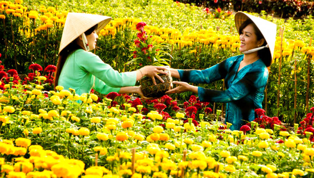 Vé Tết 2026 - săn sớm du xuân trọn vẹn