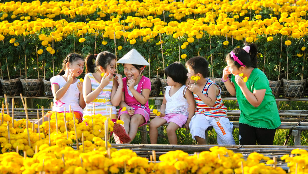 Vé Tết 2026 - săn sớm du xuân trọn vẹn